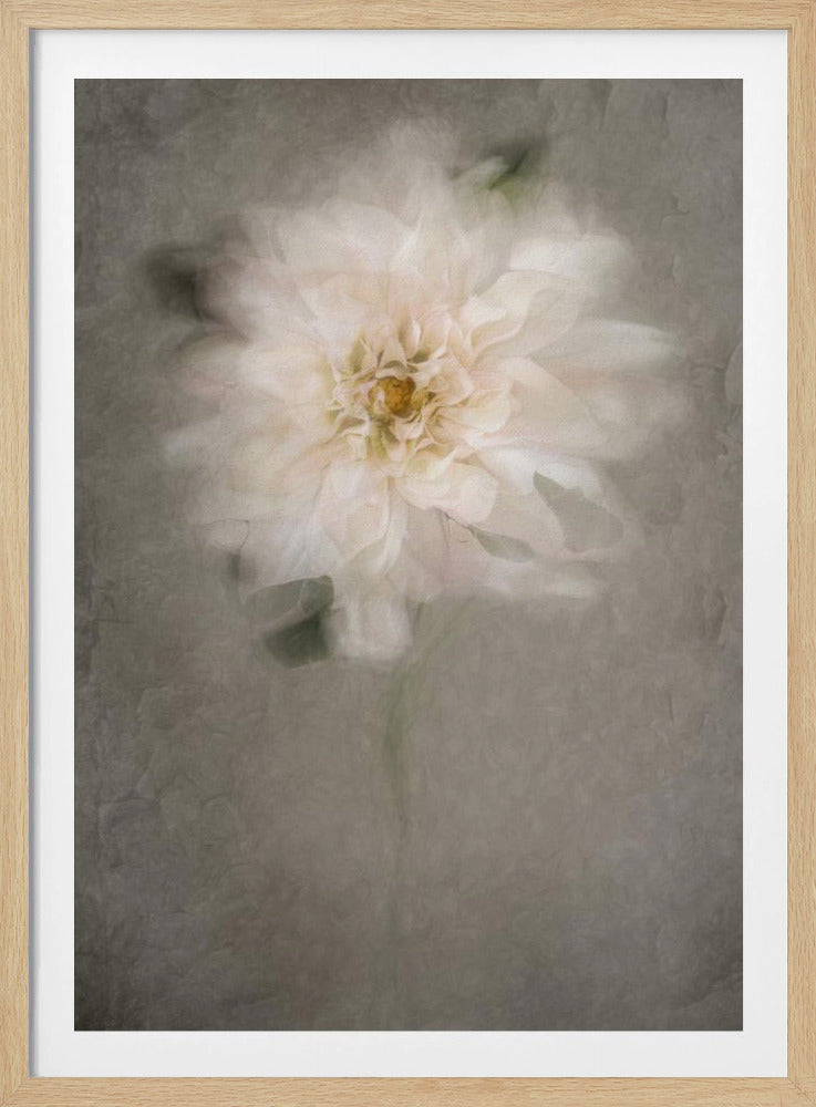 For the Bride | Poster