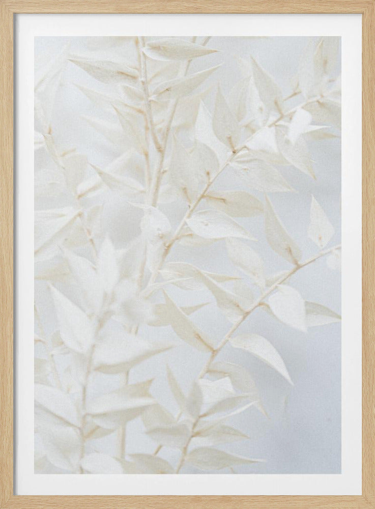 Ethereal Leaves | Poster