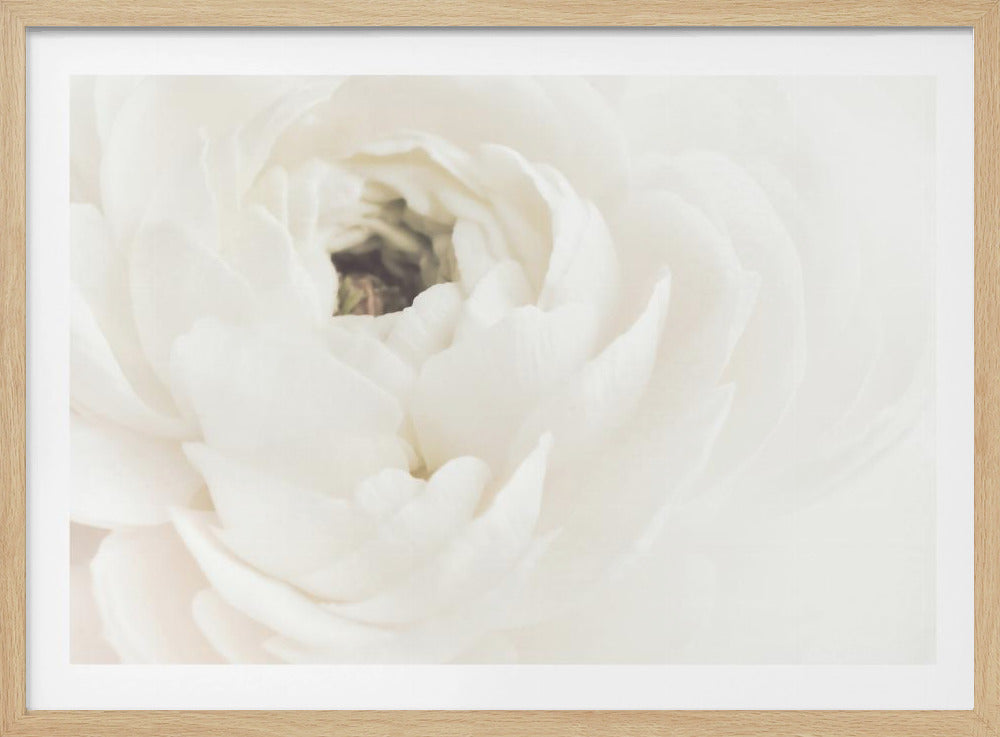 White Flower 02 | Poster