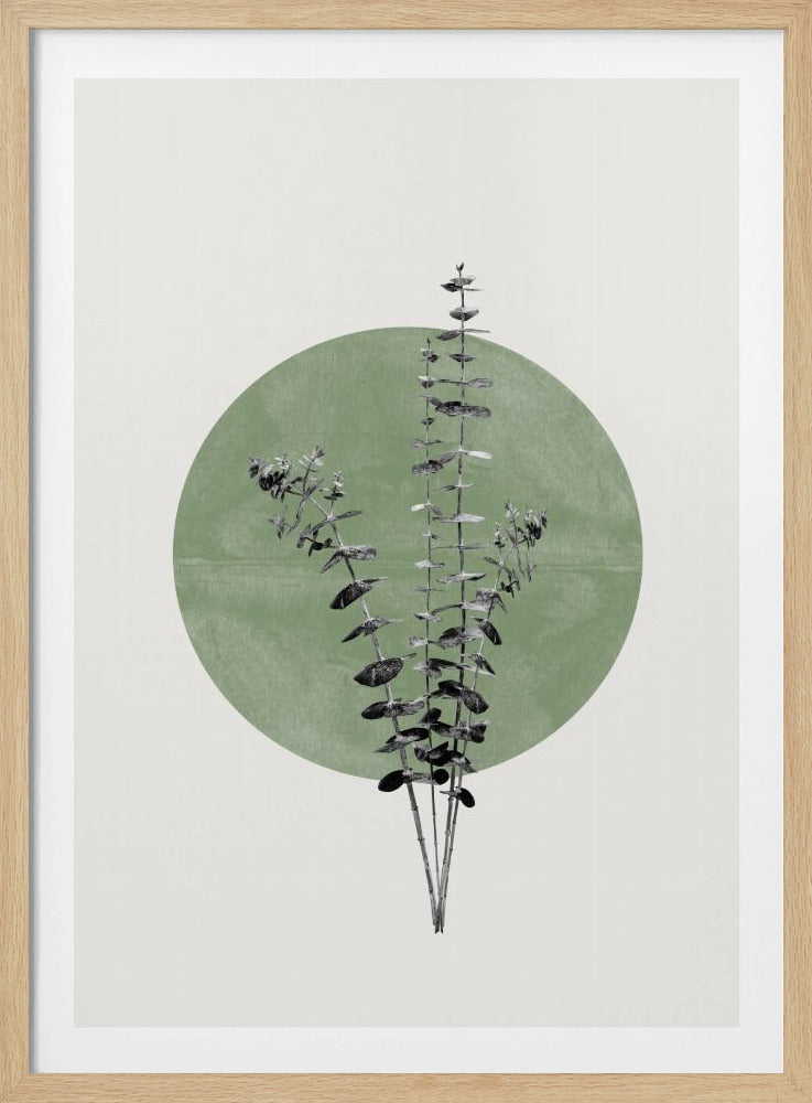 Nature's Echo | Poster