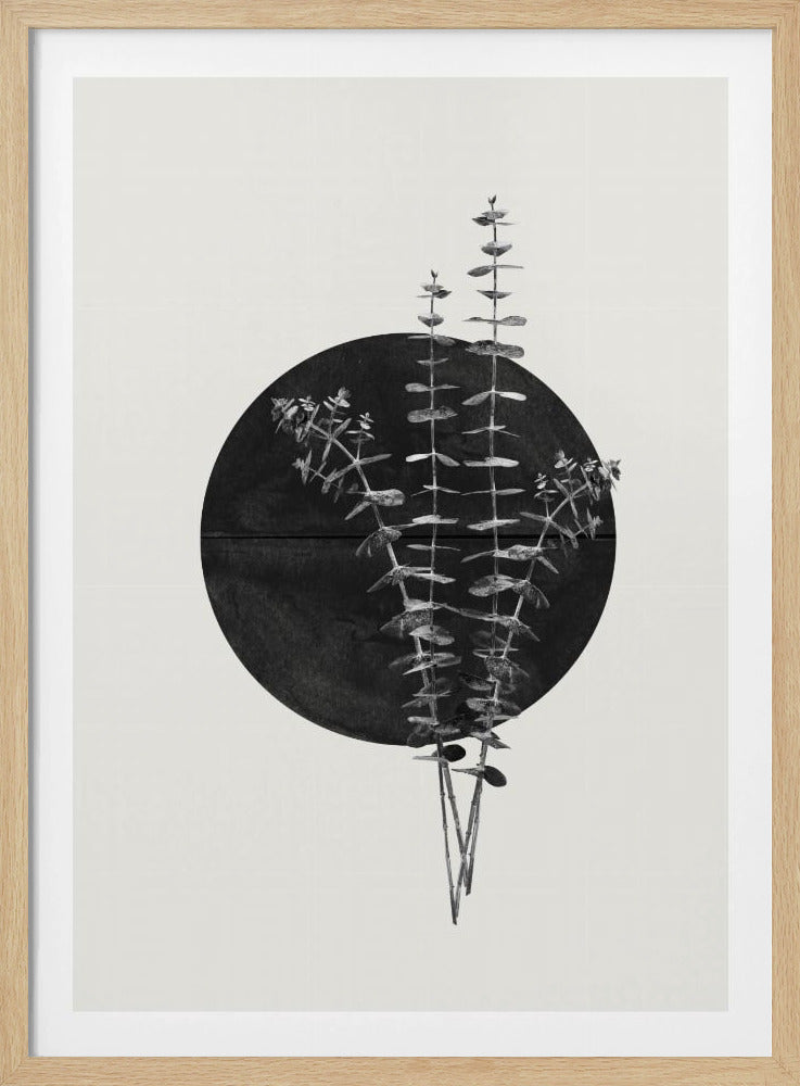 Eucalyptus Moon | Poster