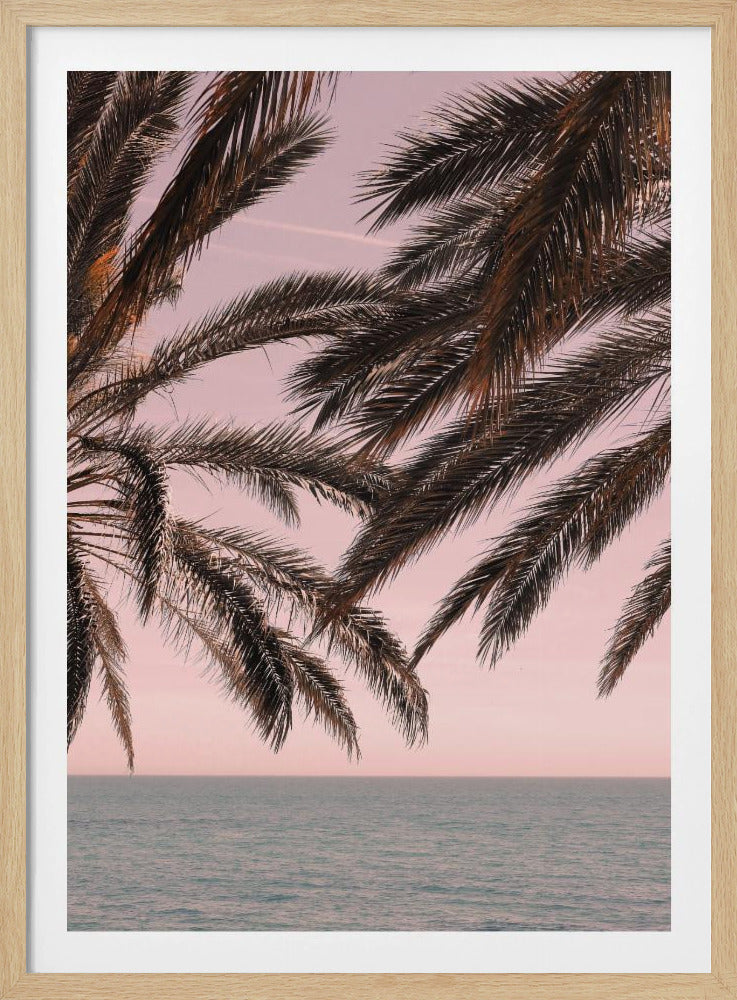 Palm_011 | Poster
