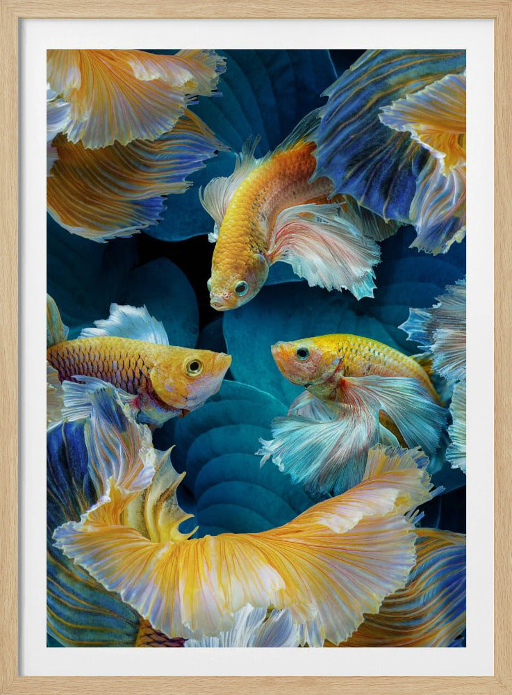 ColorFish | Poster