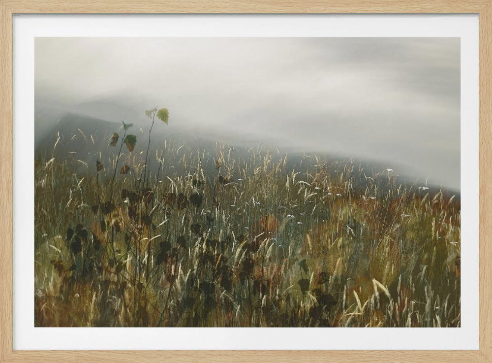 In the field | Poster