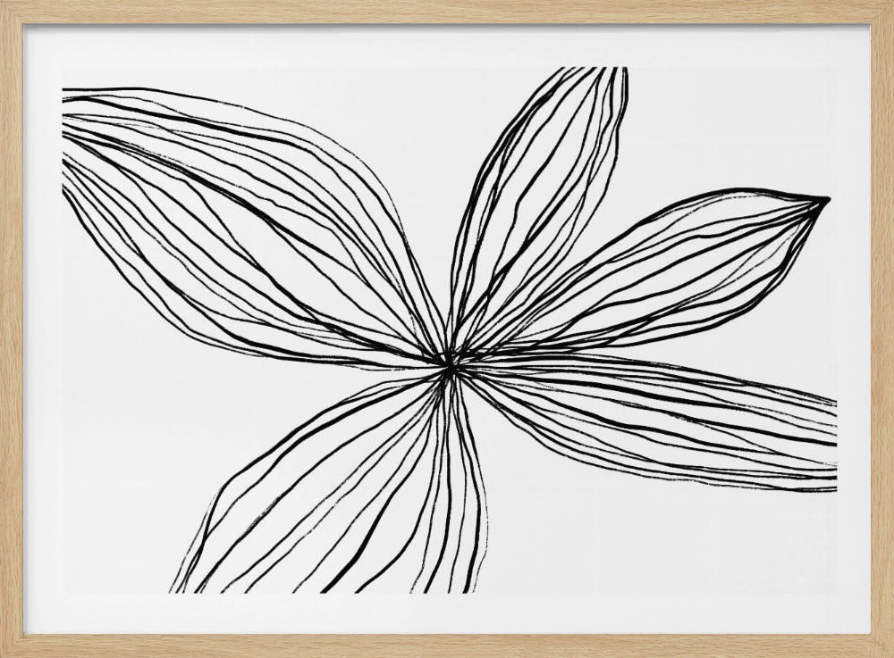 Minimalist Black and White Petals | Poster