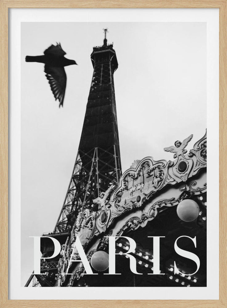 Paris Dove | Poster