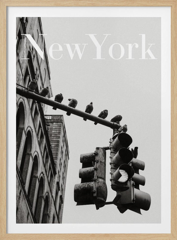 NYC Doves | Poster