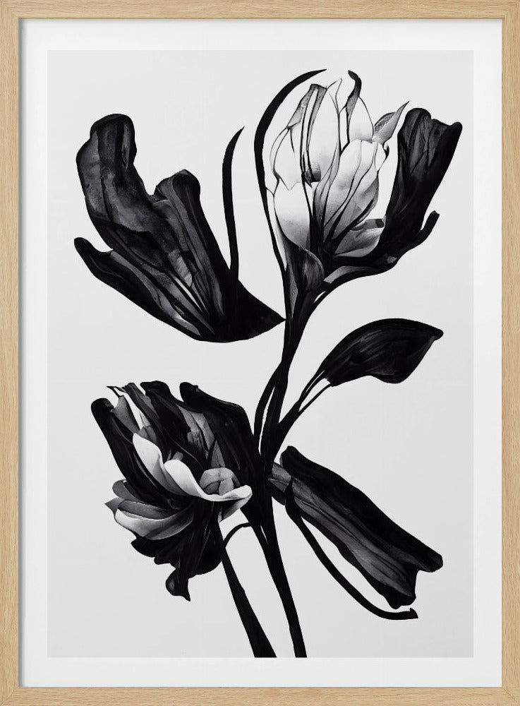 Black Flower | Poster