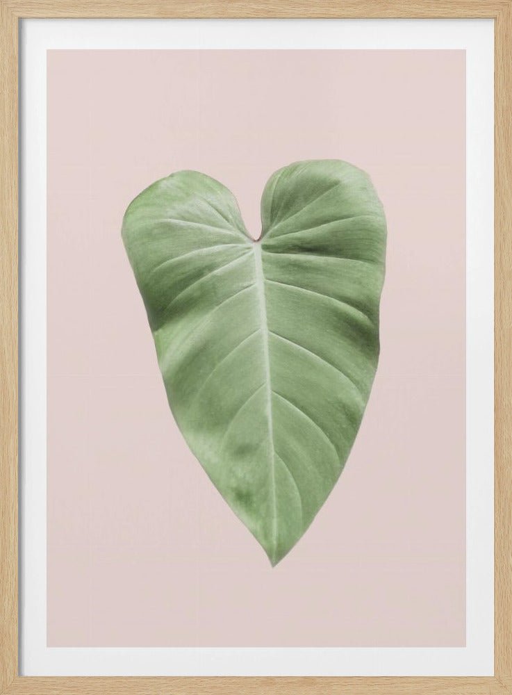 Tropical Leaf Blush | Poster