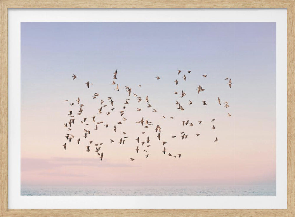 Sunset Flight | Poster