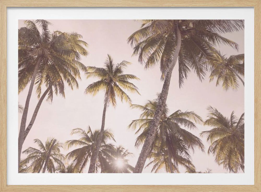 Blush Palm Trees | Poster