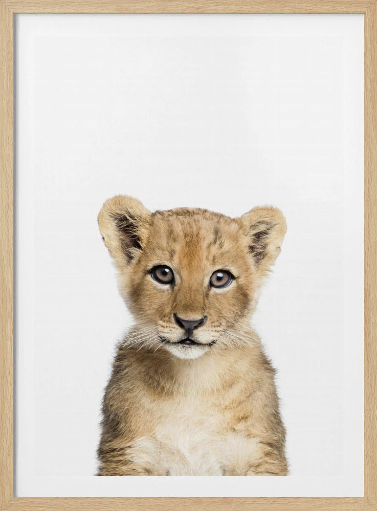 Baby Lion | Poster
