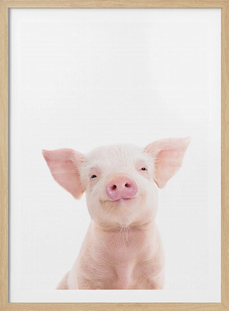 Baby Pig | Poster