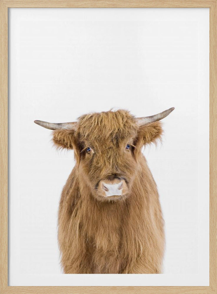 Baby Cow | Poster