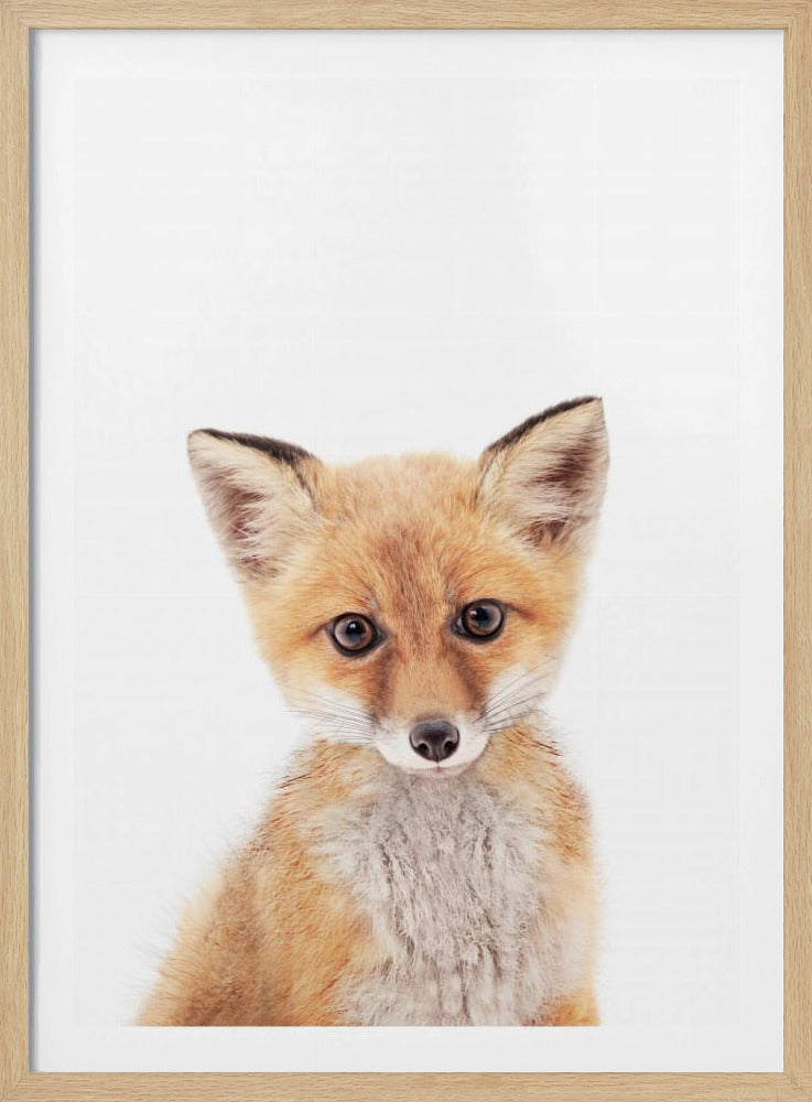 Baby Fox | Poster