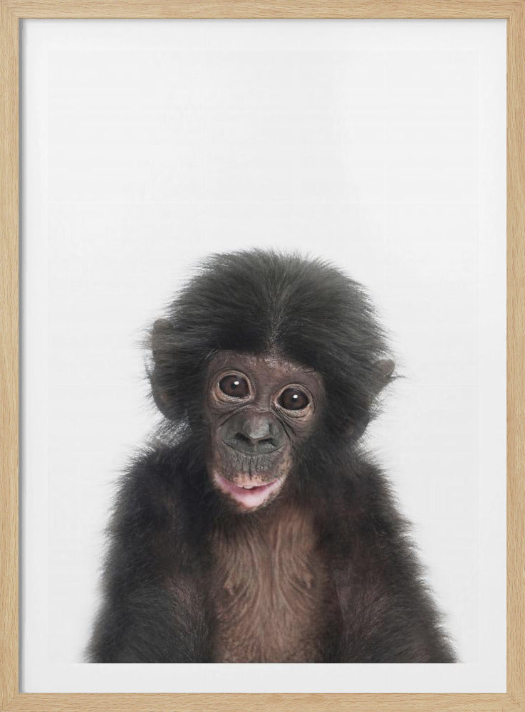 Baby Monkey | Poster