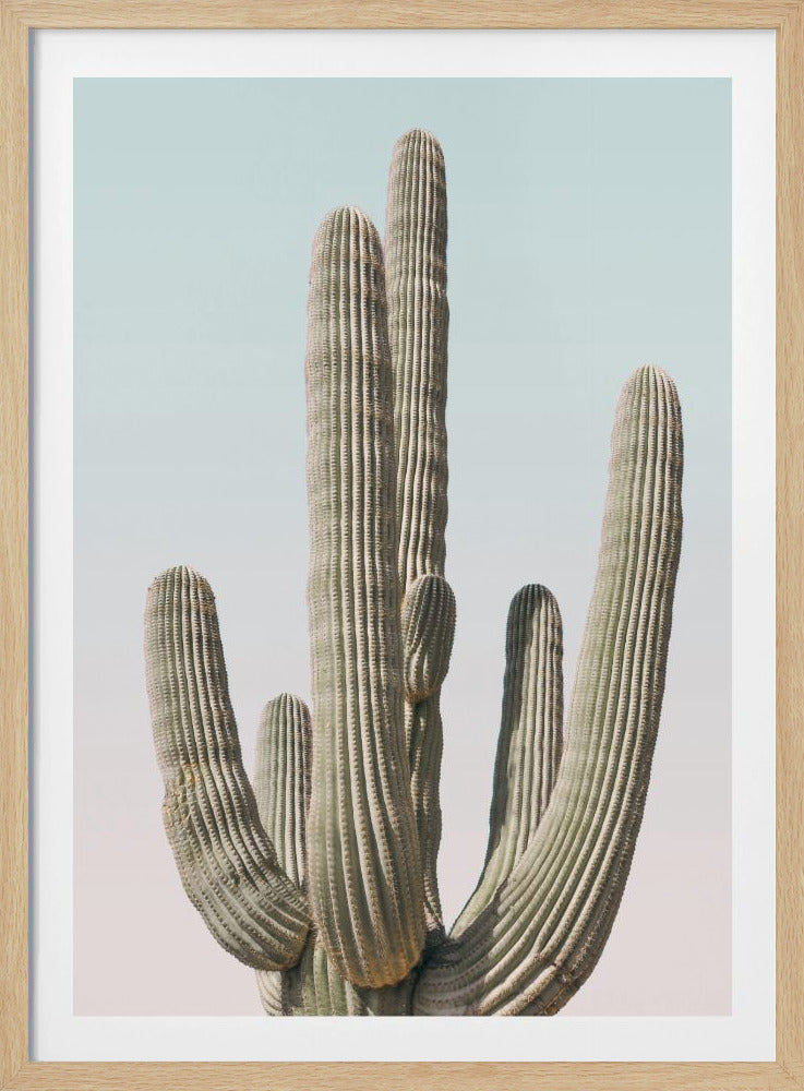 Saguaro | Poster
