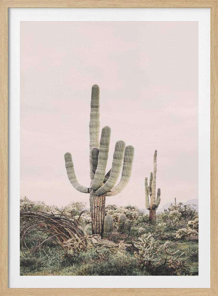 Pink Saguaro | Poster