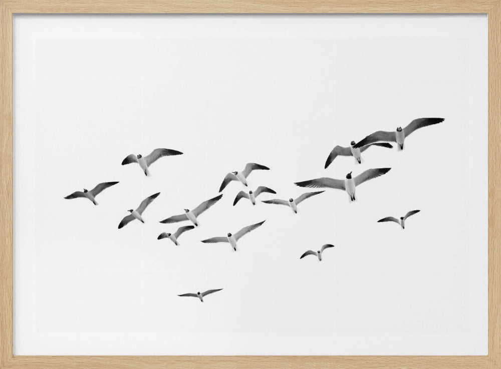 Flying Birds | Poster