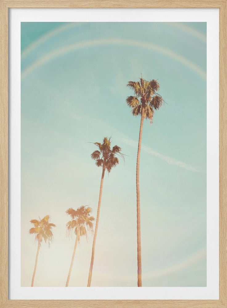 Sunny Cali Palm Tree | Poster