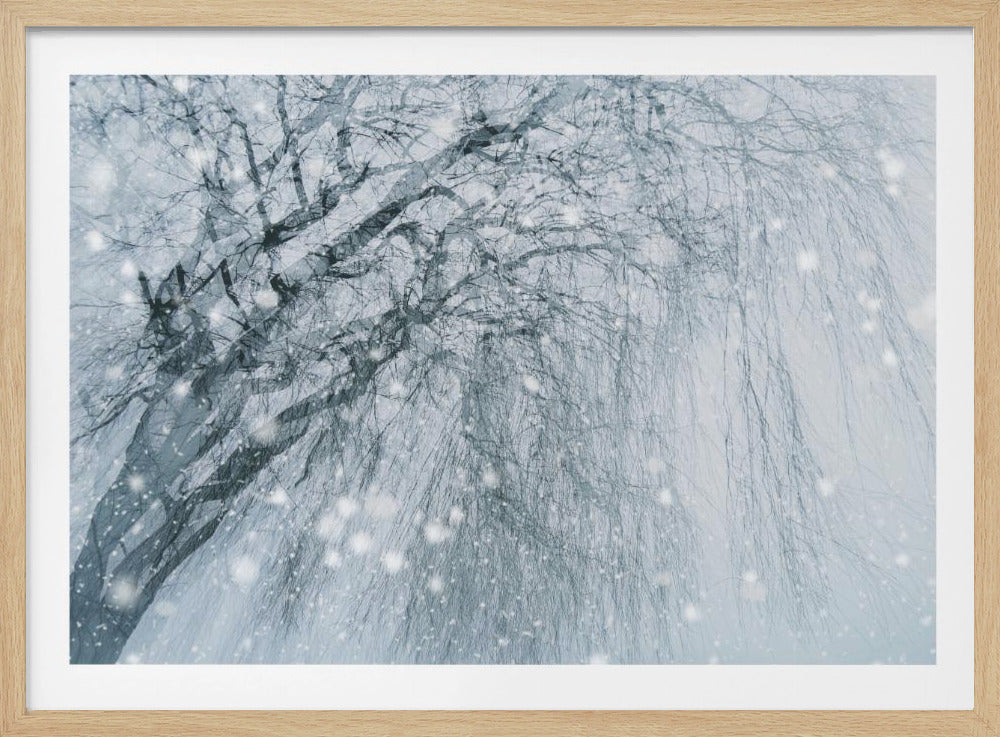 Winter tree | Poster