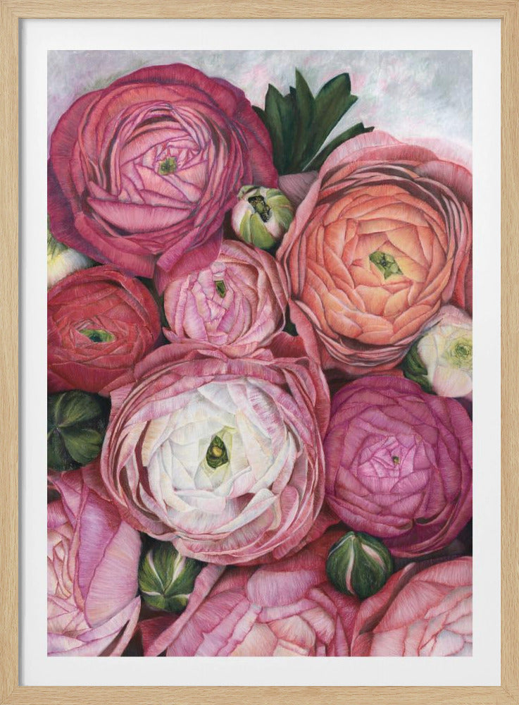 Arleth ranunculus bouquet in warm pink | Poster