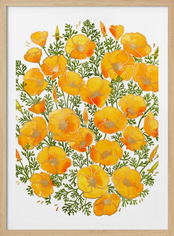 Gold accented California poppies | Poster