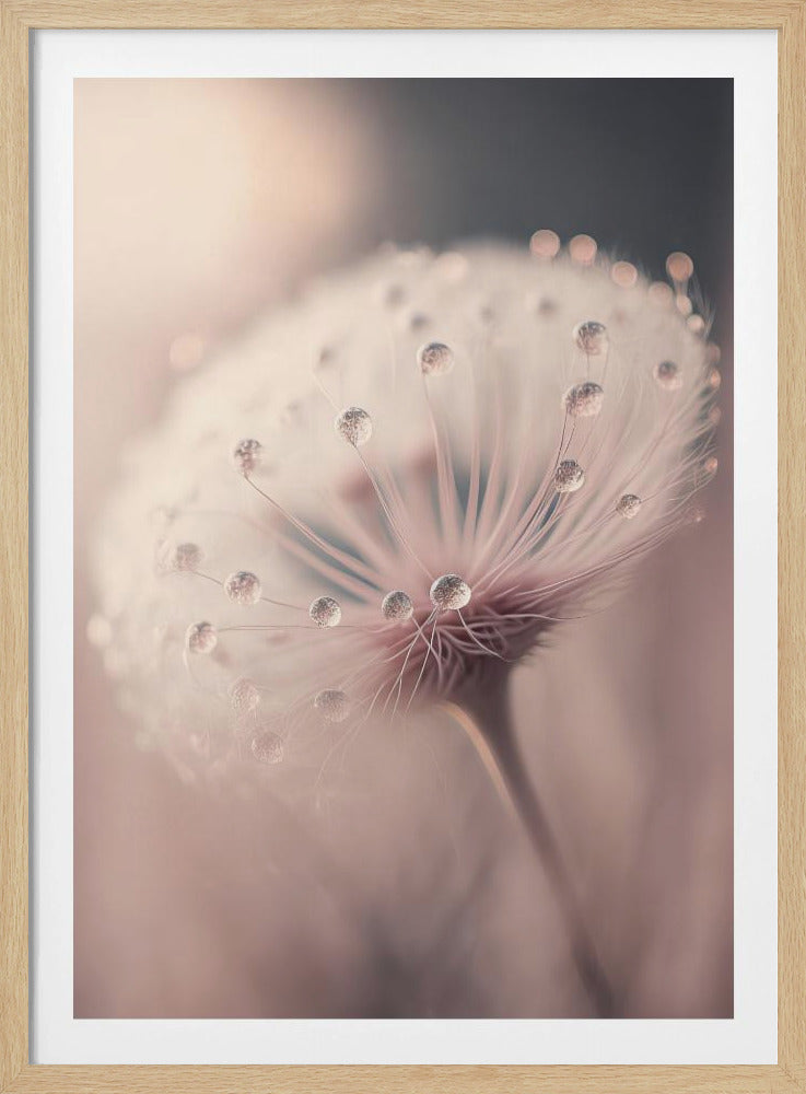 Whispered Dewdrops | Poster