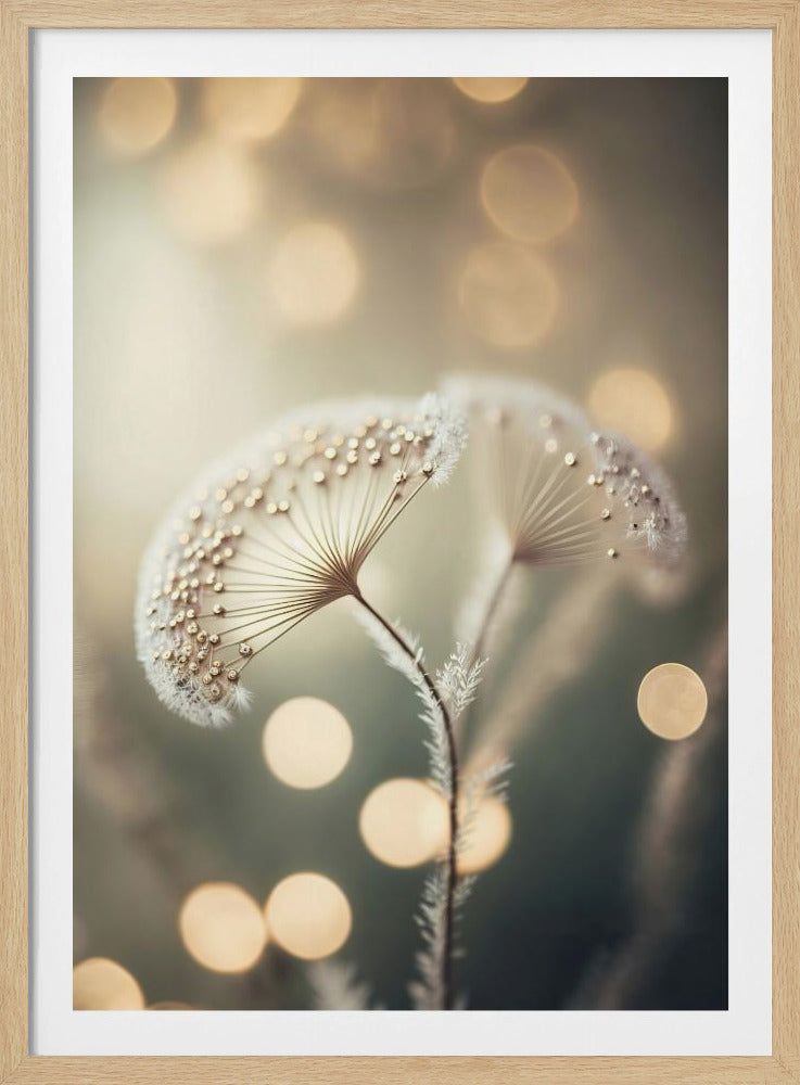 Ethereal Dreams | Poster