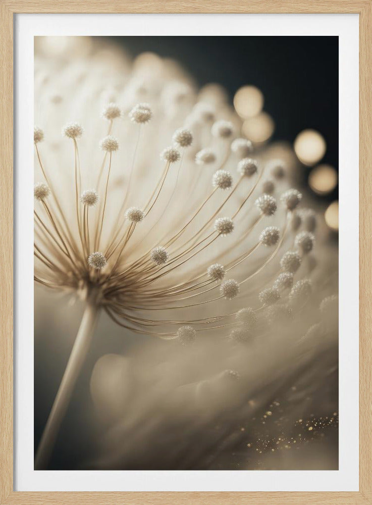 Whispering Seeds | Poster