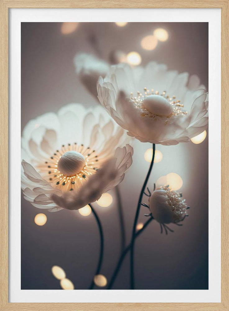 Dreamy Blossoms | Poster