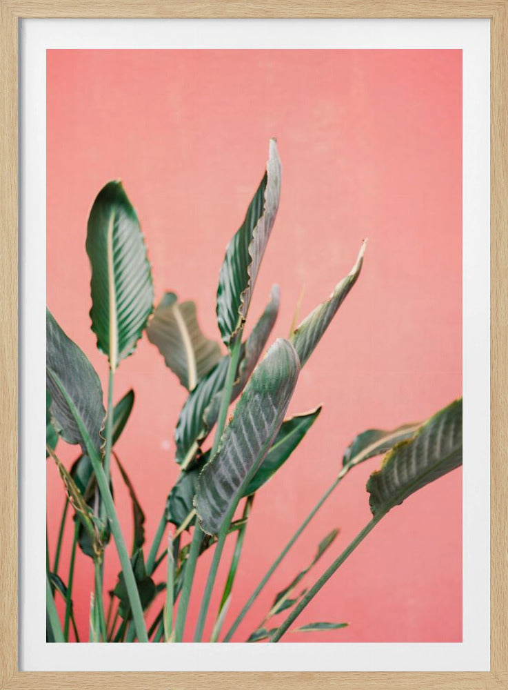 South Of Spain 7 | Poster