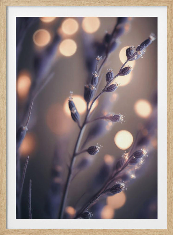 Dreamy Lavender Hues | Poster