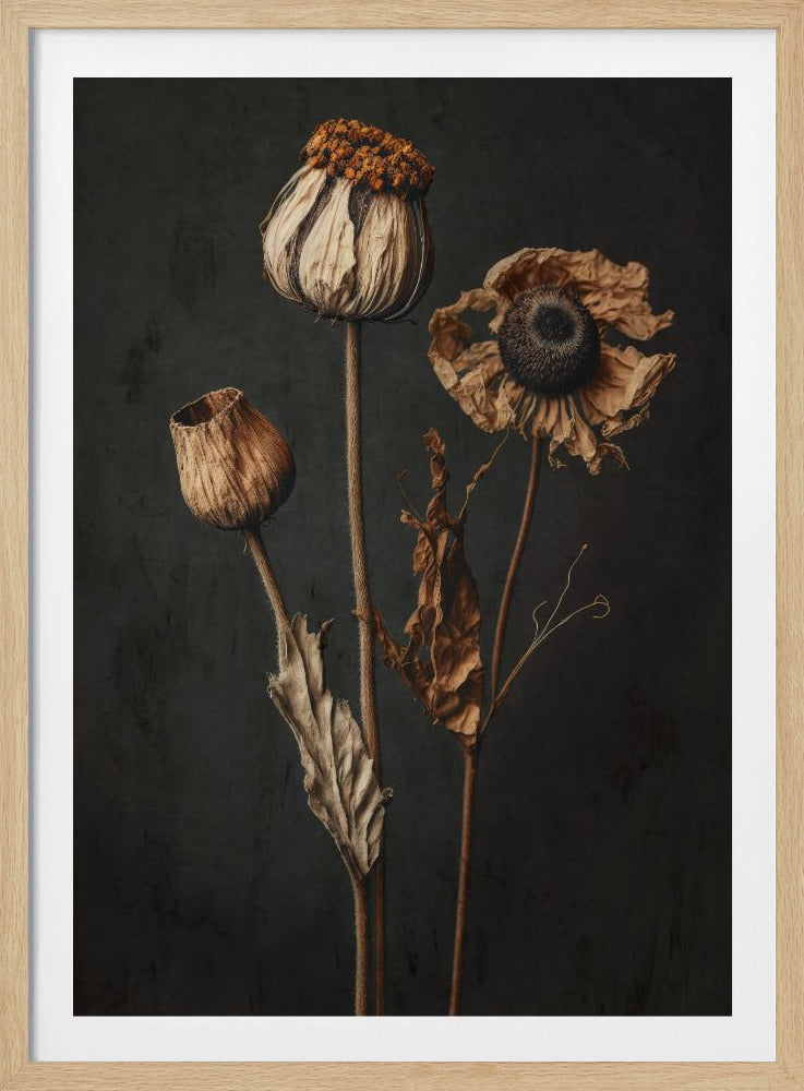 Withered Elegance | Poster