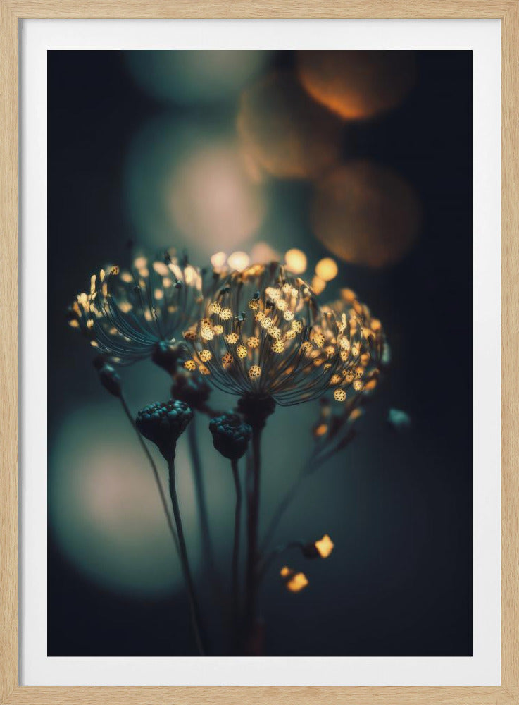 Enchanted Blossoms | Poster