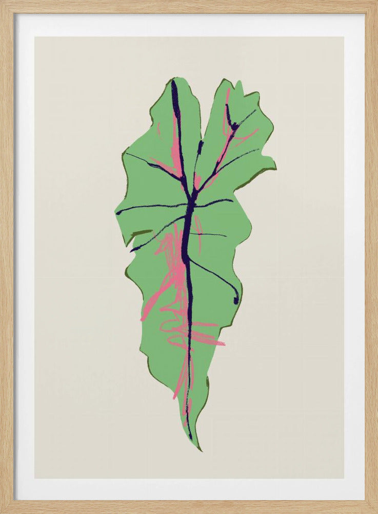 Alocasia Polly | Poster