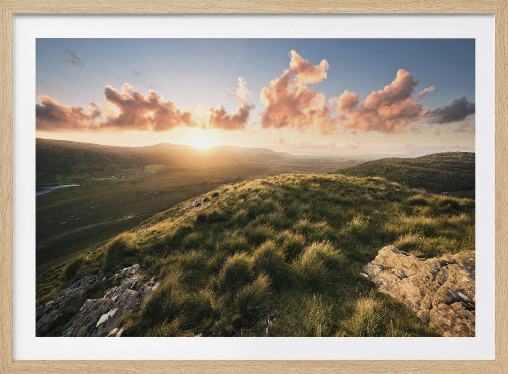 Soft Meadow | Poster