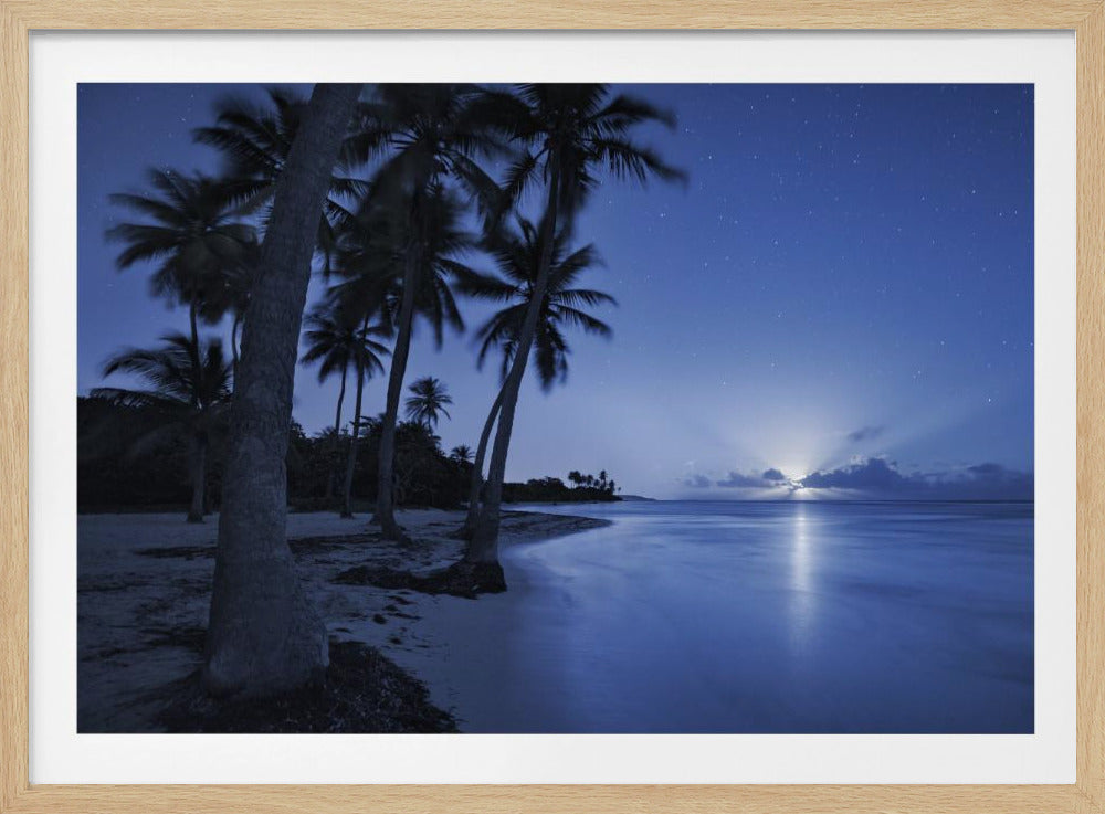 Tropical Moonrise | Poster