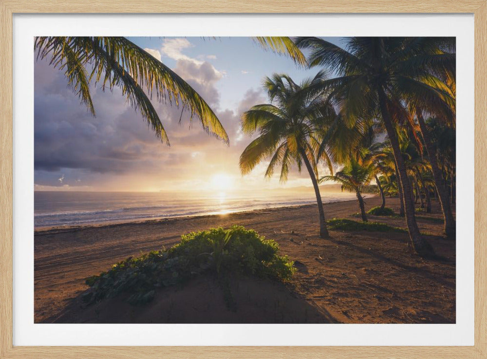 Good Morning Paradise | Poster