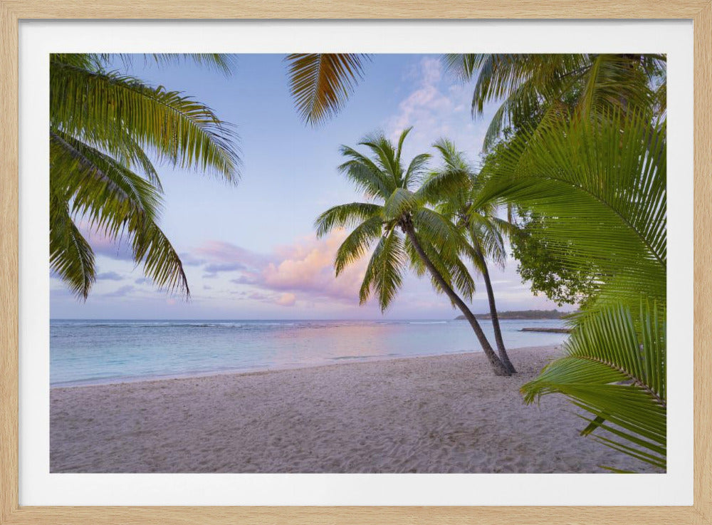 Tropical Beach | Poster