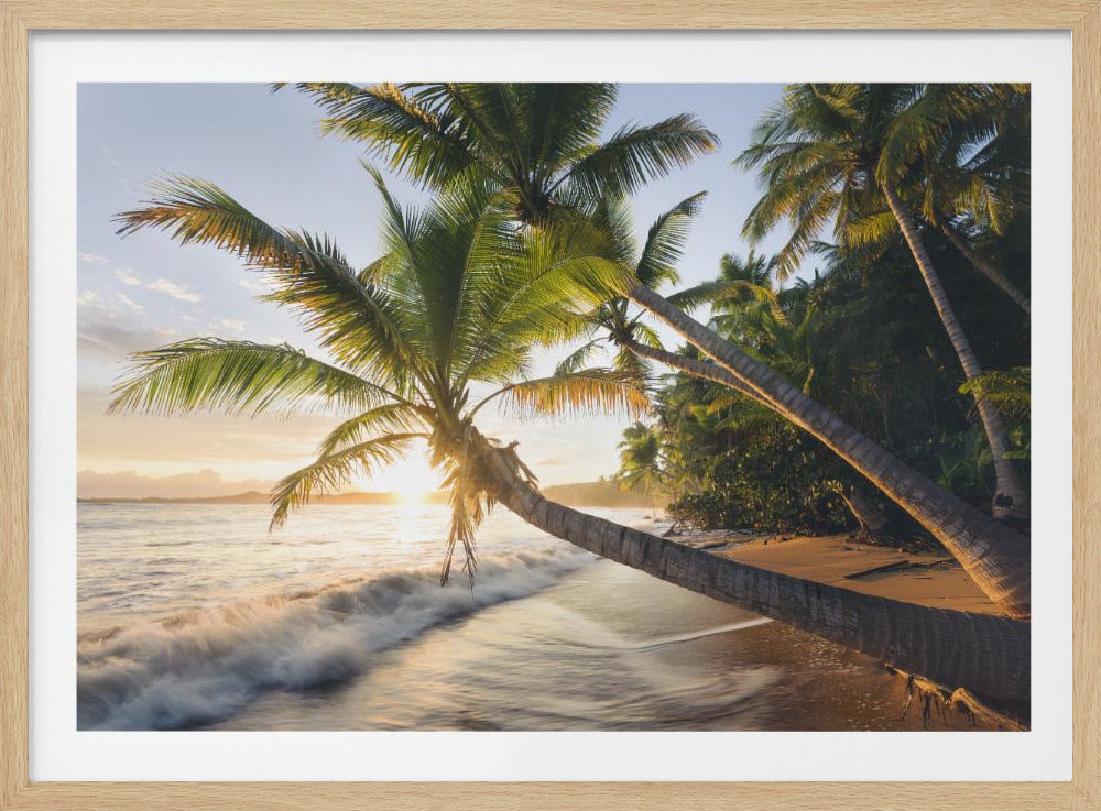 Paradise Shore | Poster