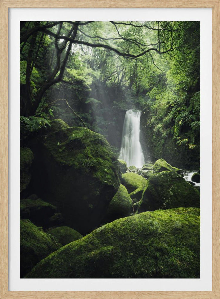 Mystic Falls | Poster