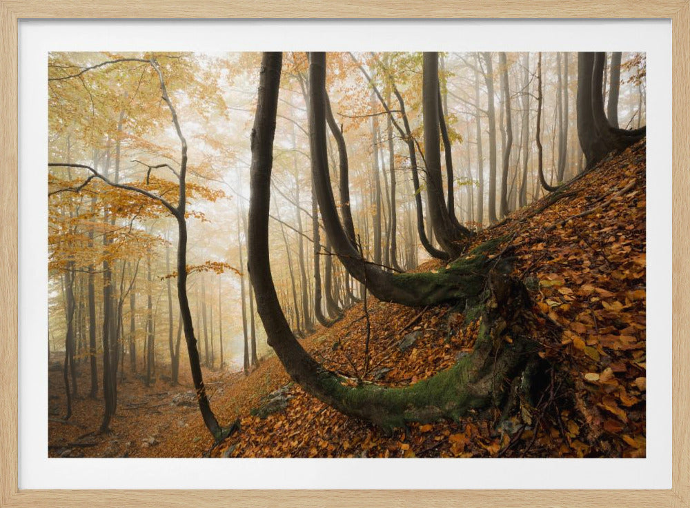 Mystic Autumn Forest | Poster