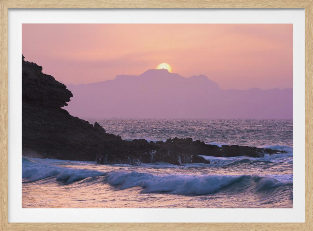 Purple Morning | Poster