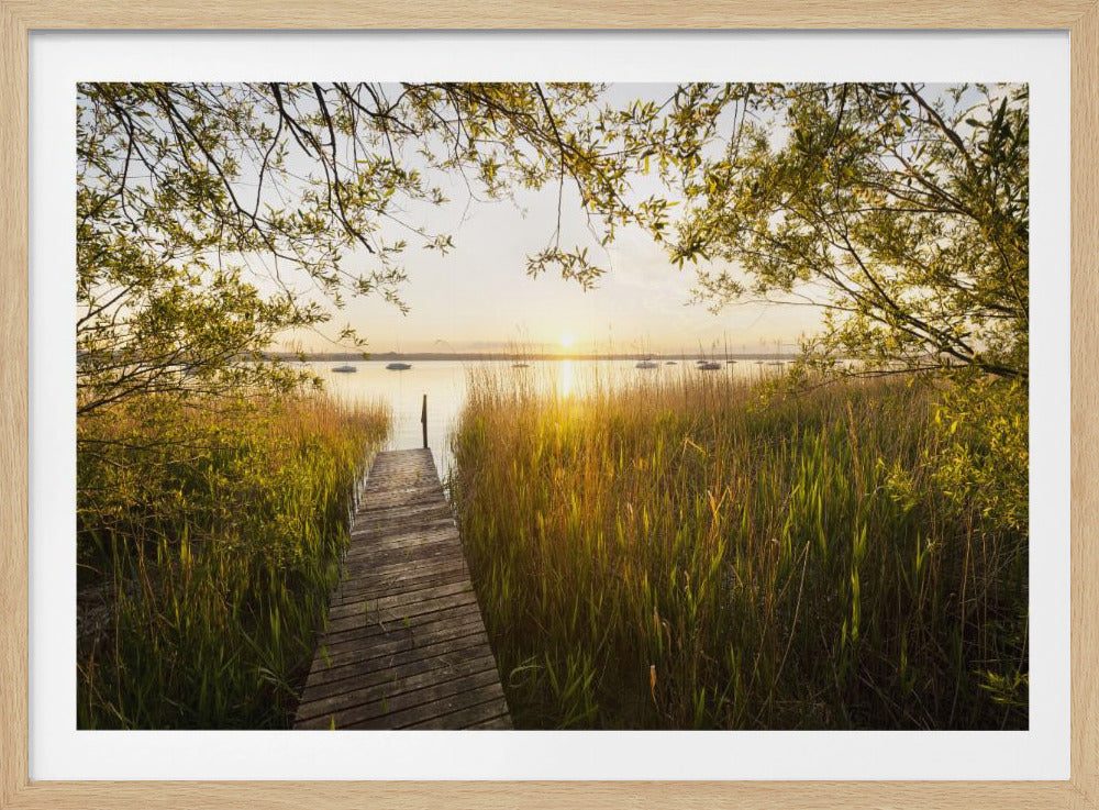 Golden Jetty | Poster
