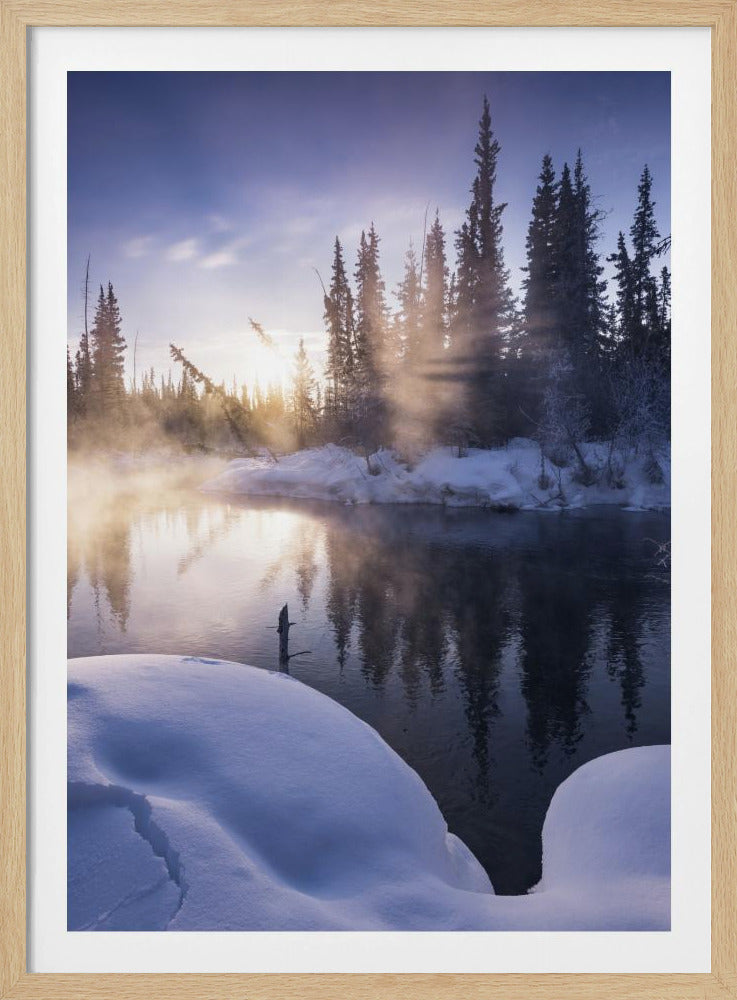 Alaskan Winter | Poster