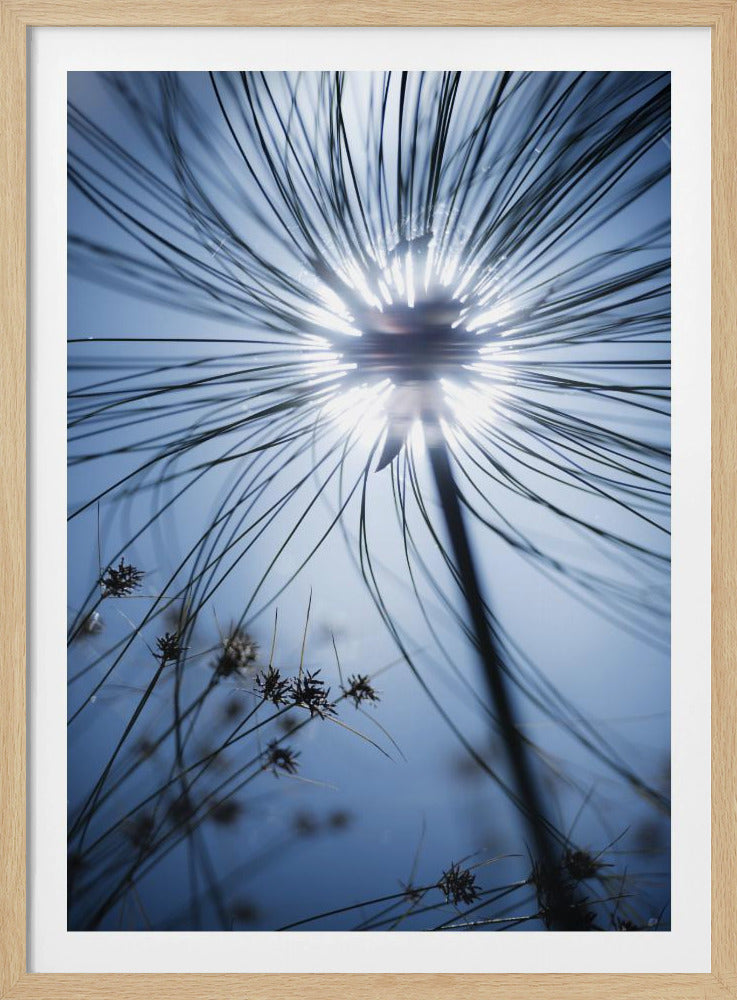 Botanic Blue | Poster