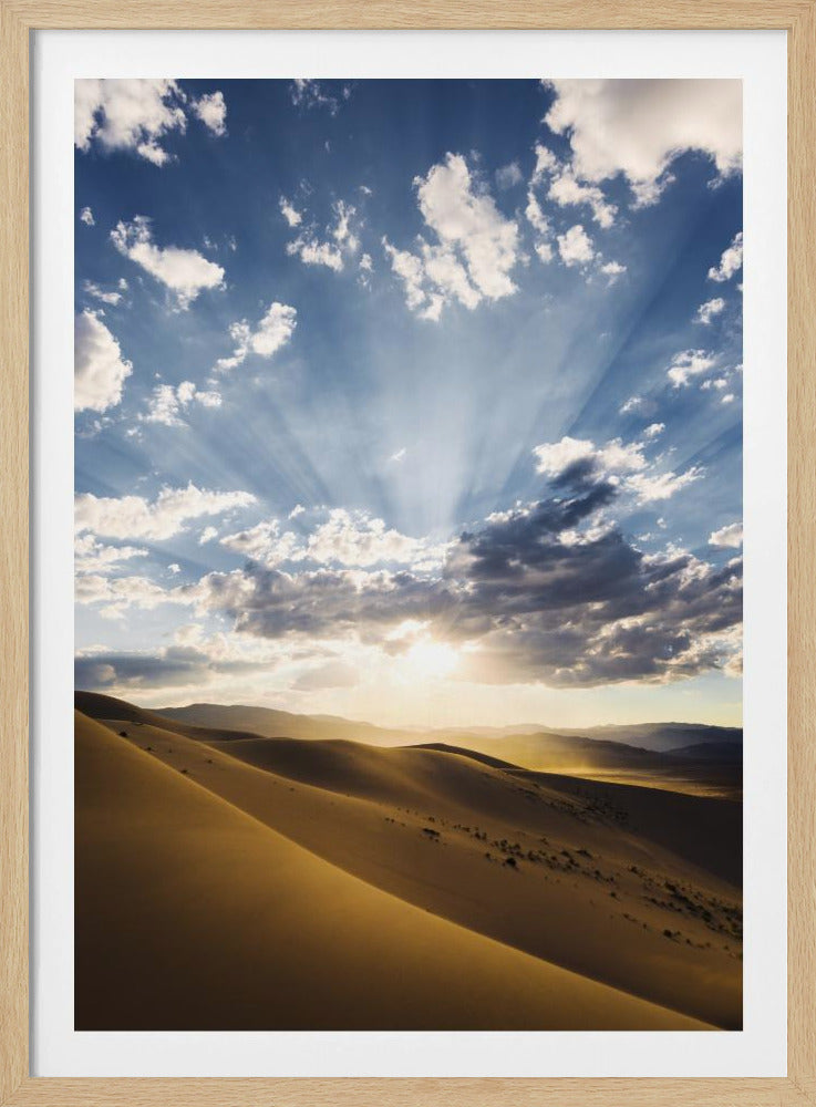 Desert Rays | Poster