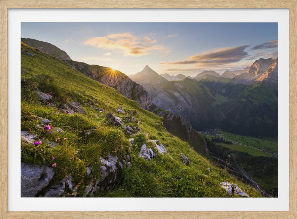 Summer Meadow | Poster