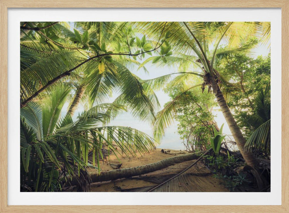 Pirates Nest | Poster